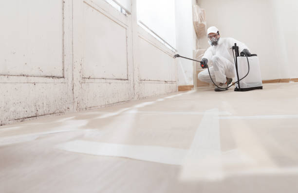 24/7 Emergency Mold Testing experts in Marion, NC