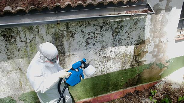 Trusted Mold Testing service in Marion, NC - Cheap Mold Removal